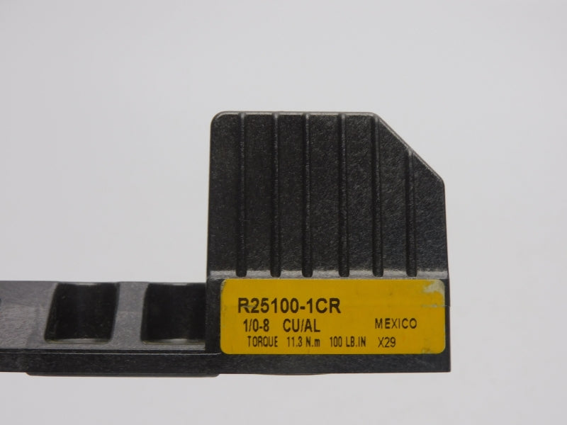 BUSS R25100-1CR 250V 100A NSNP