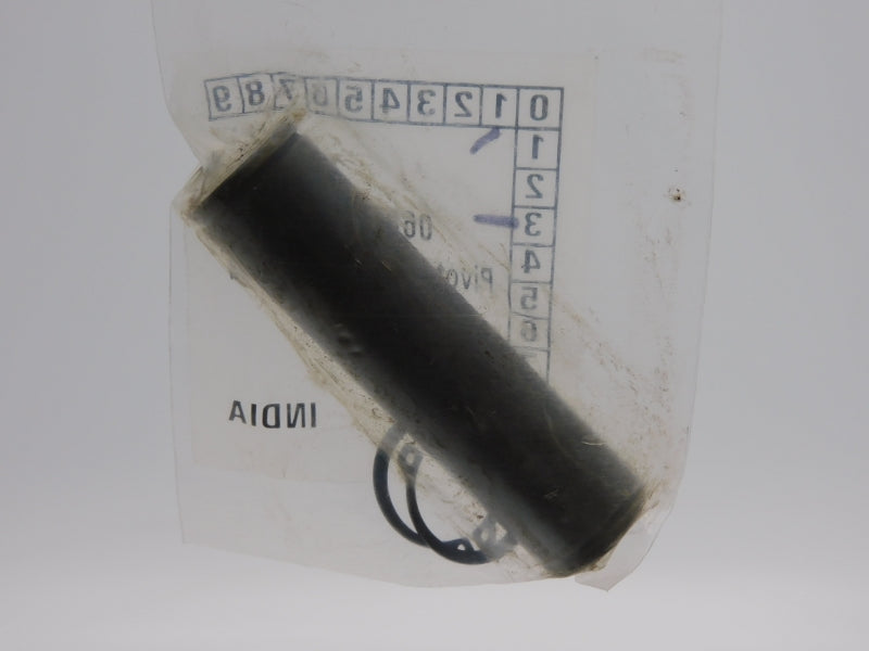 PIVOT PIN 068390000 3/4" NSMP