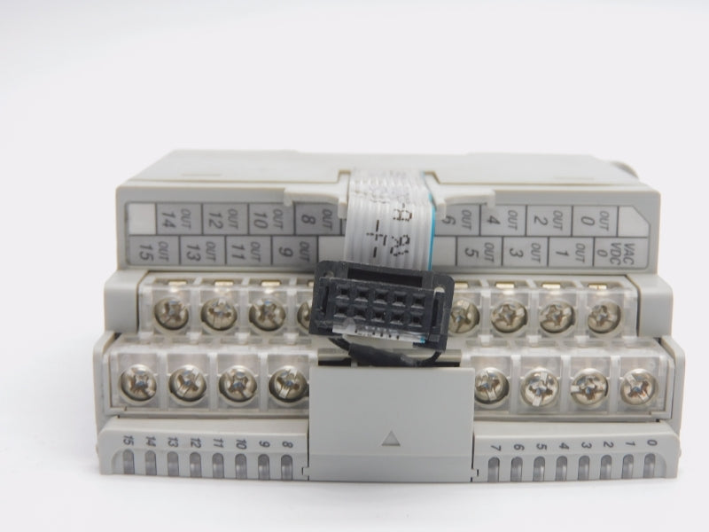ALLEN BRADLEY 1762-OW16 SER. A REV. B 24VDC 0.140A (NO DOOR) UNMP