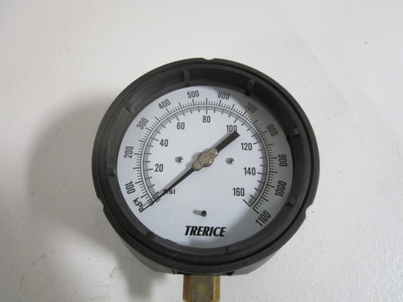 TRERICE DA090194  0-160PSI NSMP