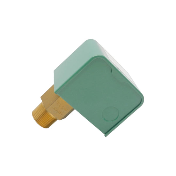 RAYPAK IFS01BN-S2 NSNP
