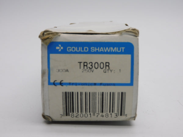 GOULD SHAWMUT TR300R 250V 300A (PINK) NSMP