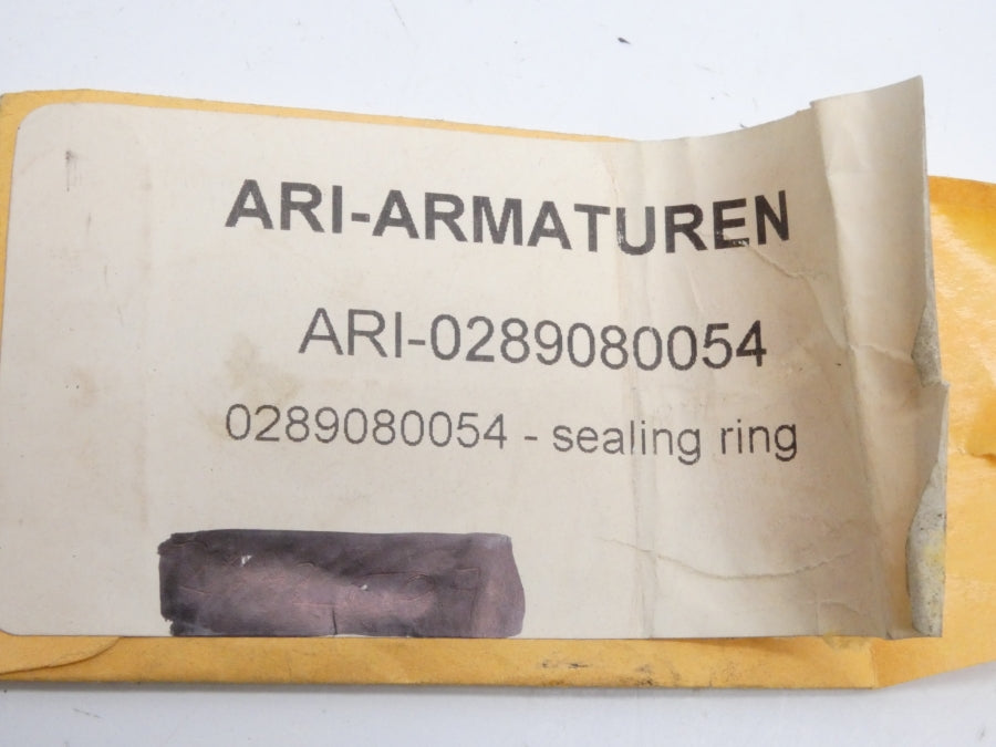 ARI-ARMATUREN 0289080054 NSMP