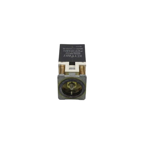 MICRO SWITCH PW2L2A1AF2 110/120V NSNP