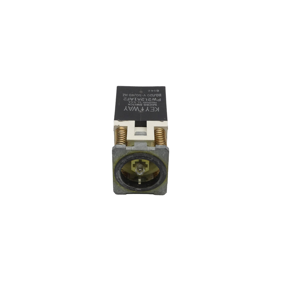 MICRO SWITCH PW2L2A1AF2 110/120V NSNP