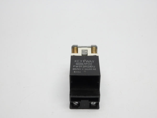 MICRO SWITCH PW2L2A1AF2 110/120V NSNP