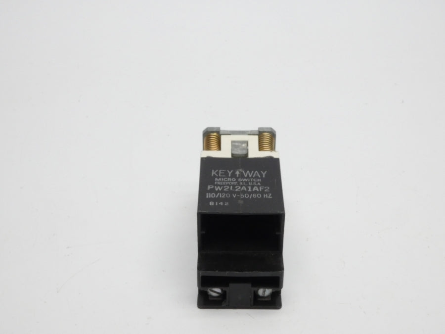 MICRO SWITCH PW2L2A1AF2 110/120V NSNP