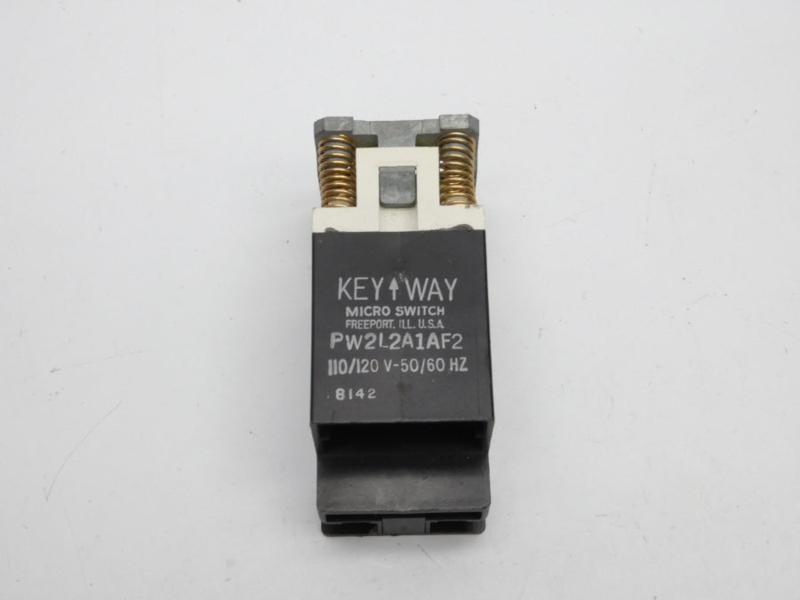 MICRO SWITCH PW2L2A1AF2 110/120V NSNP