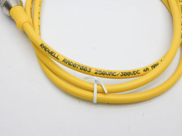 RADWELL RAD07003 300VDC 4A NSMP