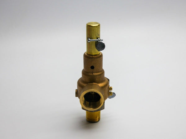 APOLLO 19KEDA 150PSI 3/4" NSNP