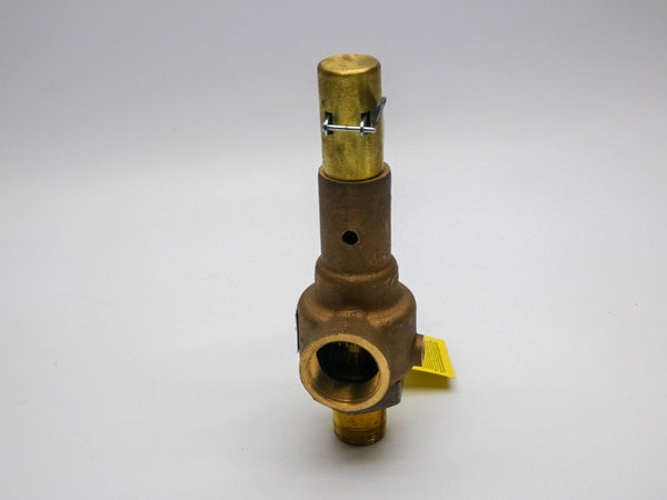 APOLLO 19KFEA 150PSI 1" NSNP