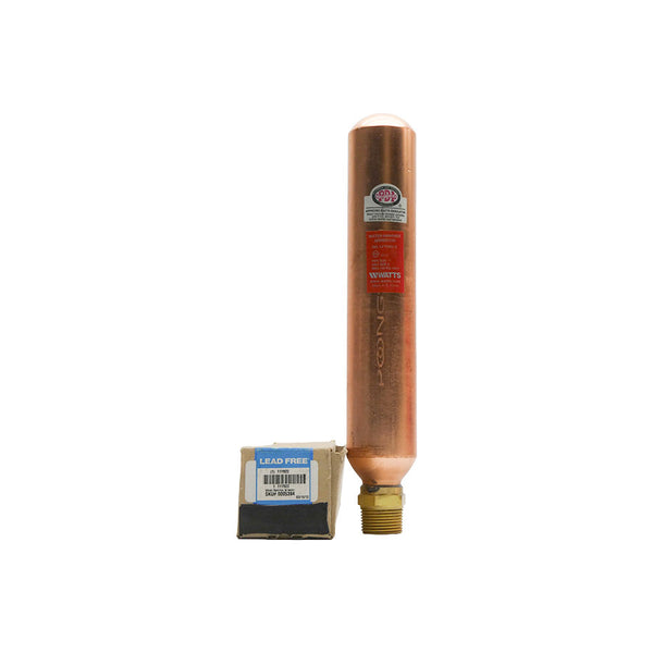 WATTS LF15M2-E 11Y822 150PSI 1" NSMP