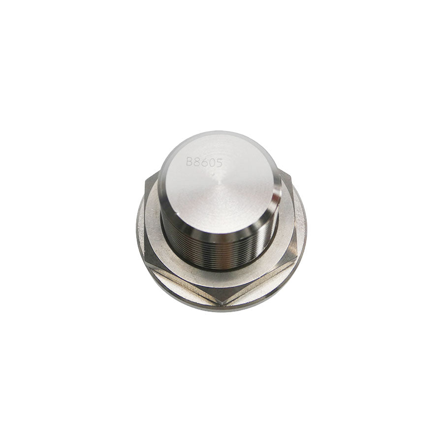 PLUG B8605 1" NSNP