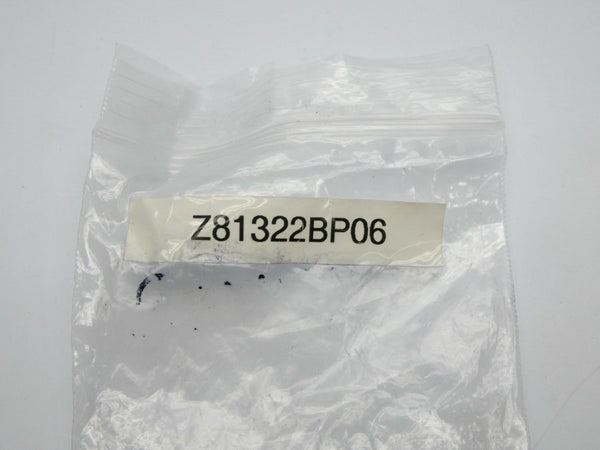 PLUG Z81322BP06 NSNP
