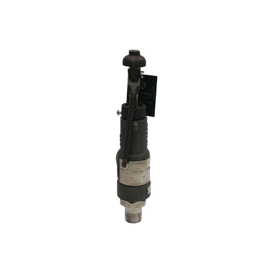GENERAL ELECTRIC 19110LC-2-CC-MS-34-MT-FT-LA 150PSI 3/4" NSNP