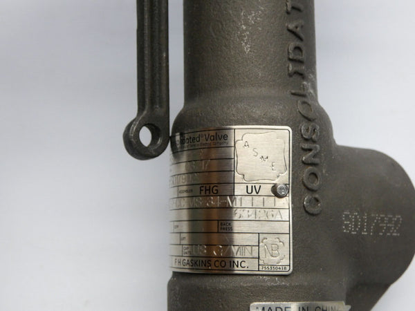 GENERAL ELECTRIC 19110LC-2-CC-MS-34-MT-FT-LA 150PSI 3/4" NSNP