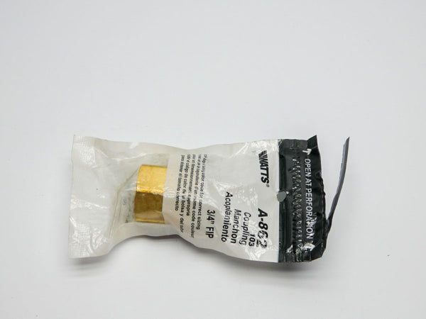 WATTS A-862 3/4" NSMP