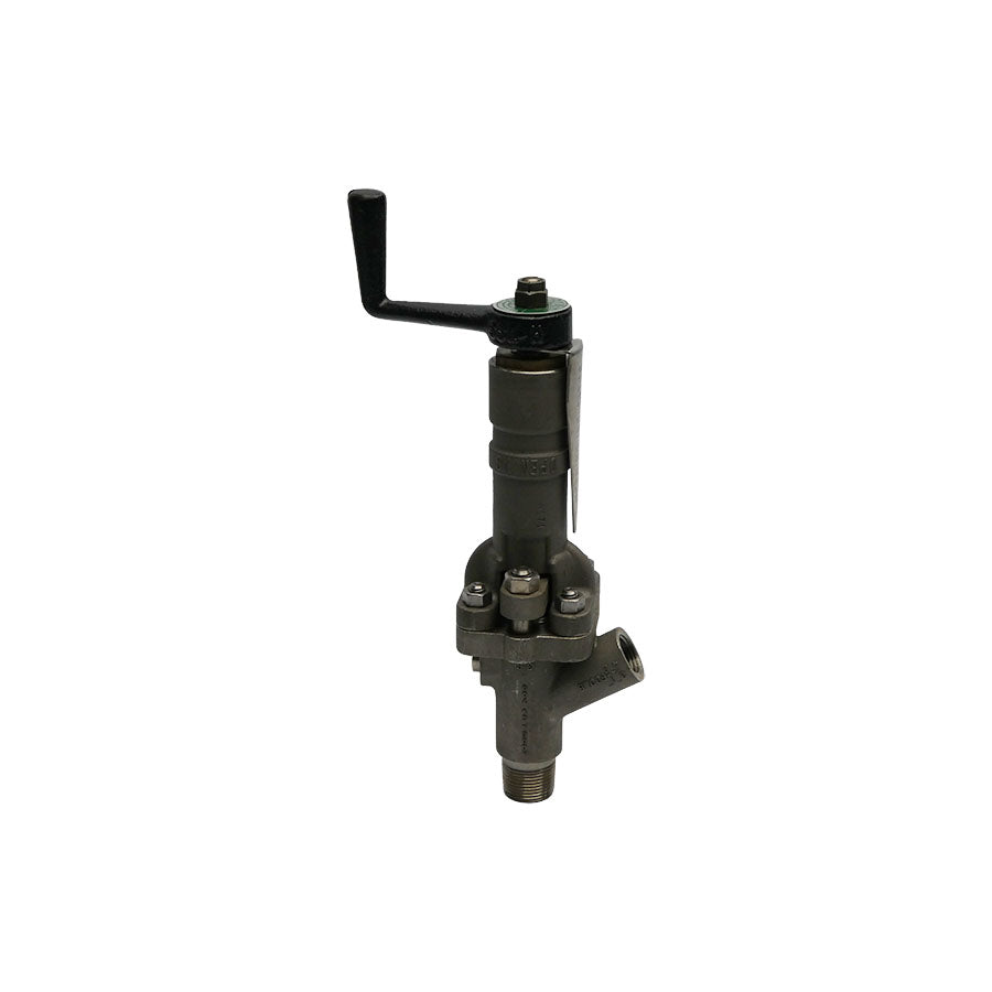 STRAHAM SV-700 600PSI 3/4" NSNP