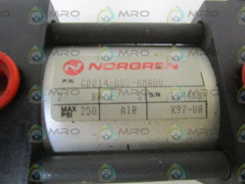 NORGREN CYLINDER CD01A-B05-AMA00 NSNP