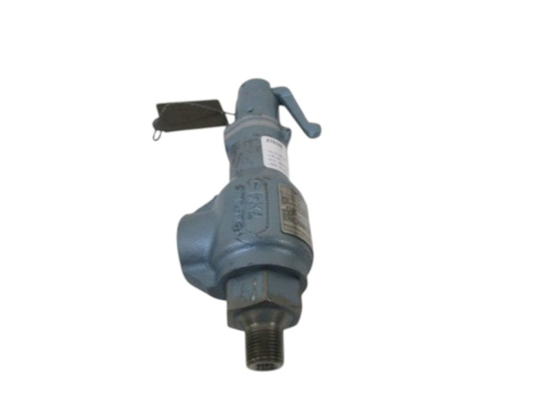 MERCER RELIEF VALVE 91-06C73T06L2 NSNP