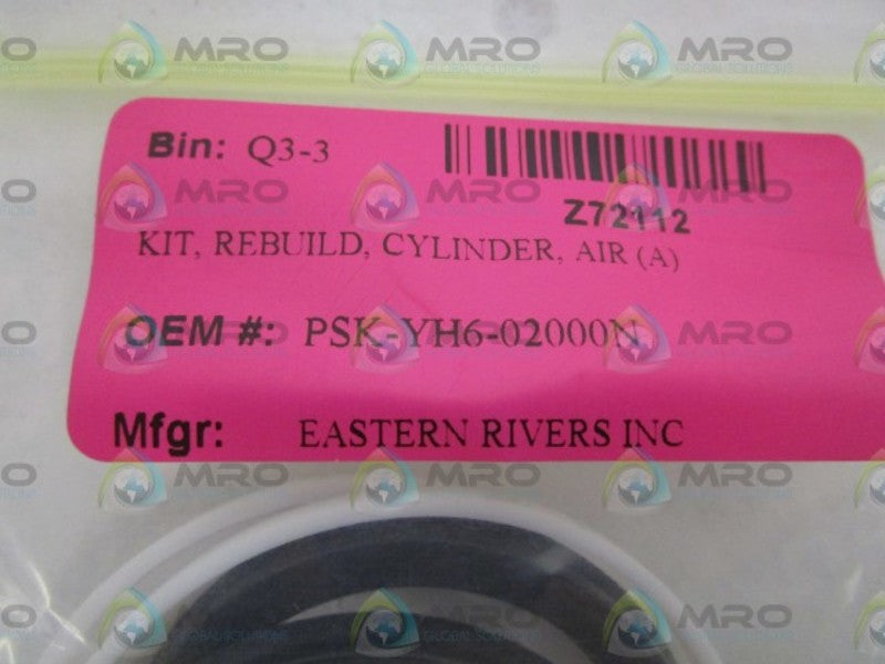 EASTERN RIVERS INC. CYLINDER REBUILD KIT PSK-YH6-02000N  NSNP IN BAG