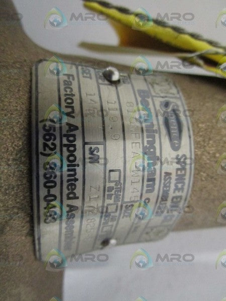 BERMINGHAM CONTROLS, INC. RELIEF VALVE 810NFEA-W145  NSMP