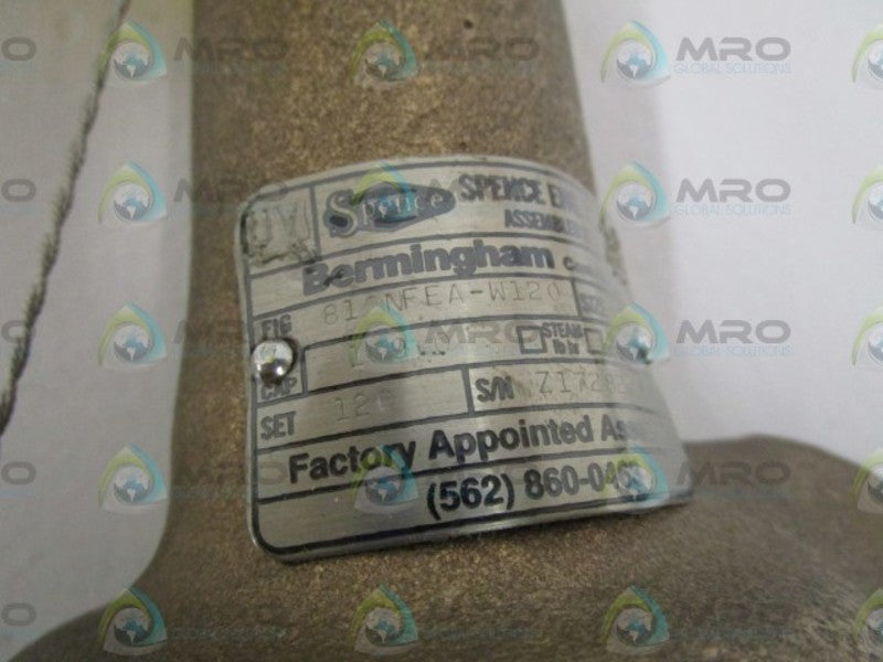 BERMINGHAM CONTROLS, INC. RELIEF VALVE 810NFEA-W120  NSMP