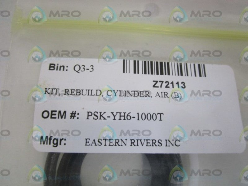 EASTERN RIVERS INC. REBUILD CYLINDER KIT PSK-YH6-1000T  NSNP IN BAG