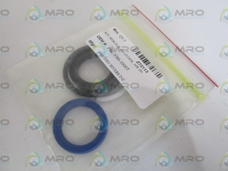 EASTERN RIVERS INC. REBUILD CYLINDER KIT PSK-YH6-1000T  NSNP IN BAG