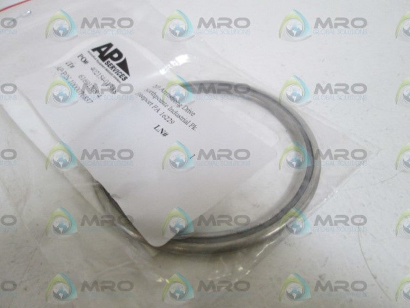 AP SERVICES 1000076837  NSNP IN BAG