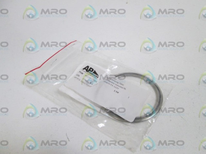 AP SERVICES 1000076837  NSNP IN BAG
