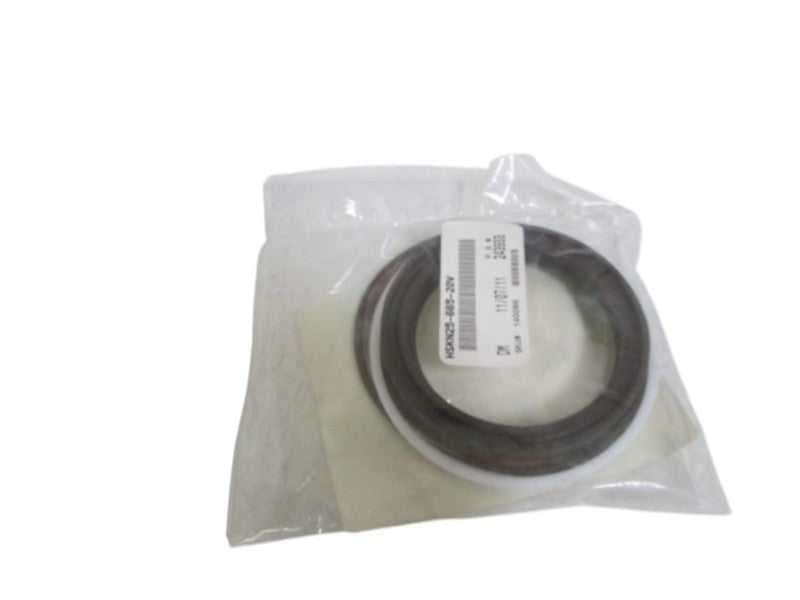HYDRO-LINE 2-1/2" ROD KIT HSKN25-665-20V NSNP IN BAG