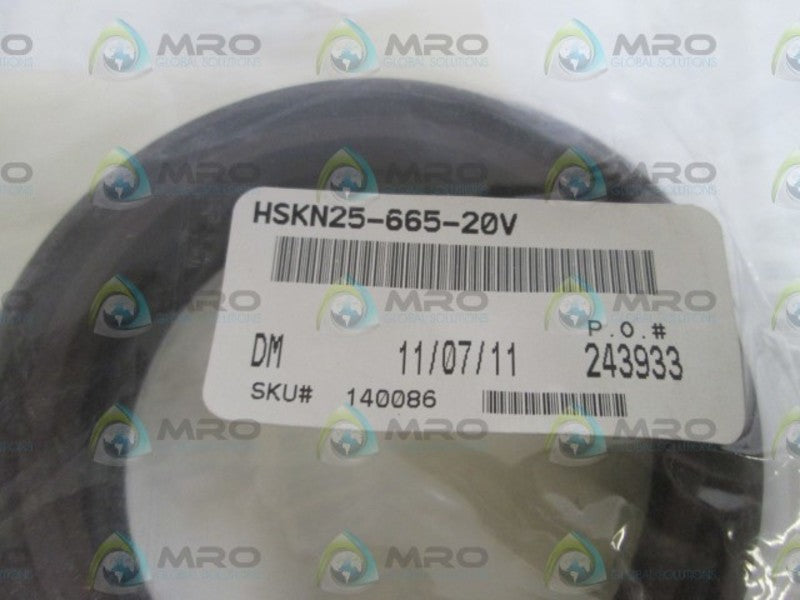 HYDRO-LINE 2-1/2" ROD KIT HSKN25-665-20V NSNP IN BAG