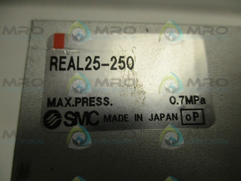 SMC REAL25-250 RODLESS CYLINDER  NSNP