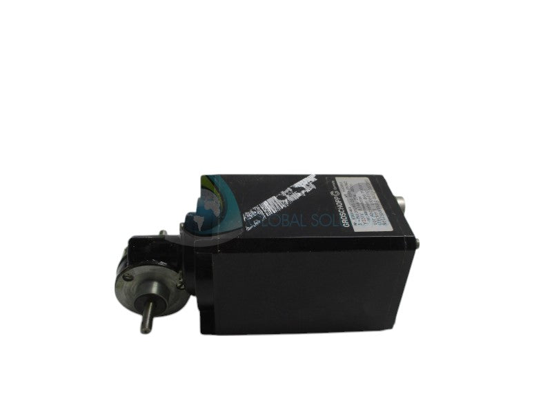 GROSCHOPP 6560469 MOTOR 220V RPM:4800  UNMP