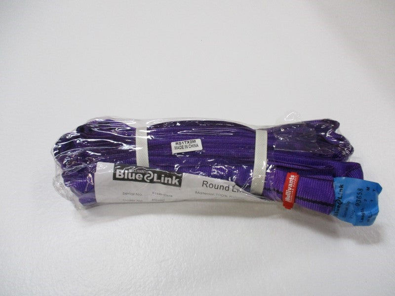 BLUE LINK RS1TX2M  NSNP