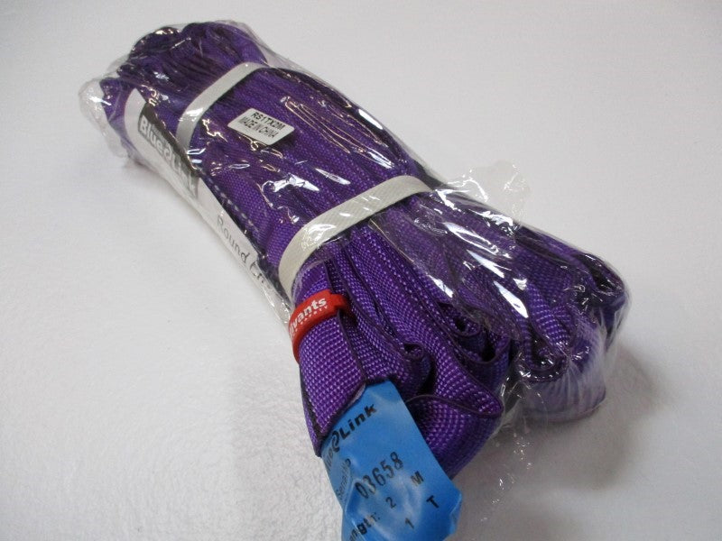 BLUE LINK RS1TX2M  NSNP