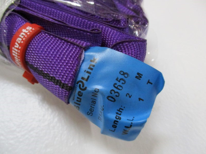 BLUE LINK RS1TX2M  NSNP