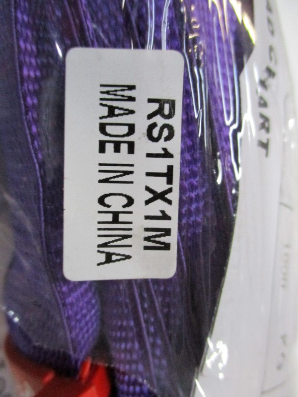 BLUE LINK RS1TX1M  NSNP