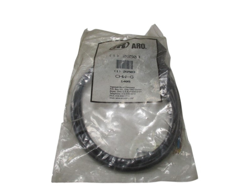 INGERSOLL RAND CHW-G 2G503 NSMP