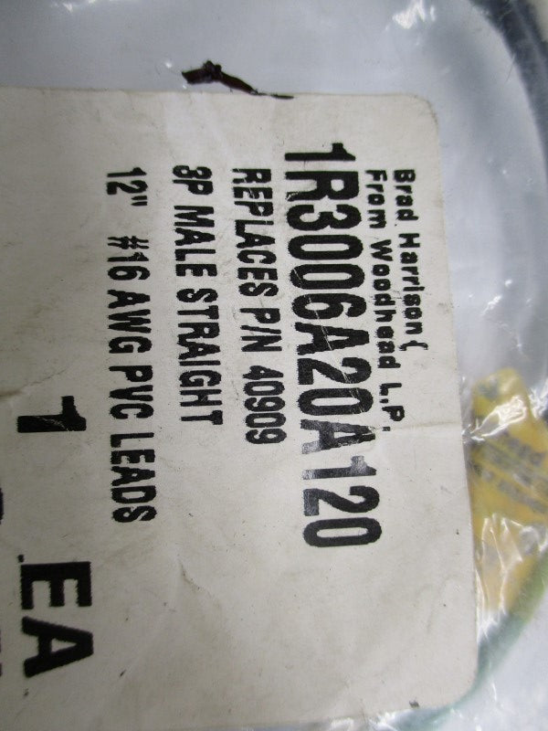 DANIEL WOODHEAD 1R3006A20A120 NSMP