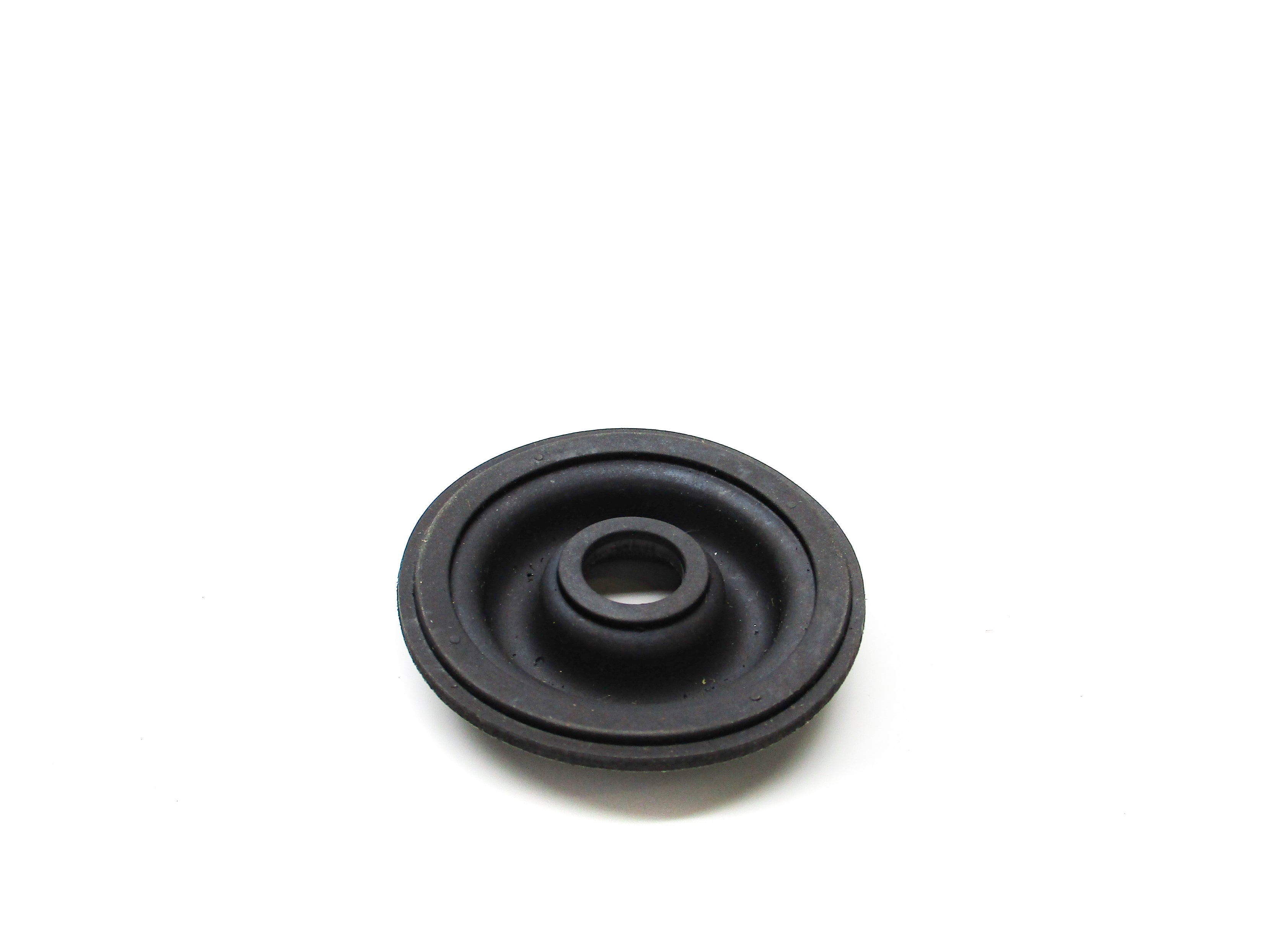 DIAPHRAGM 10950-1 NSNP