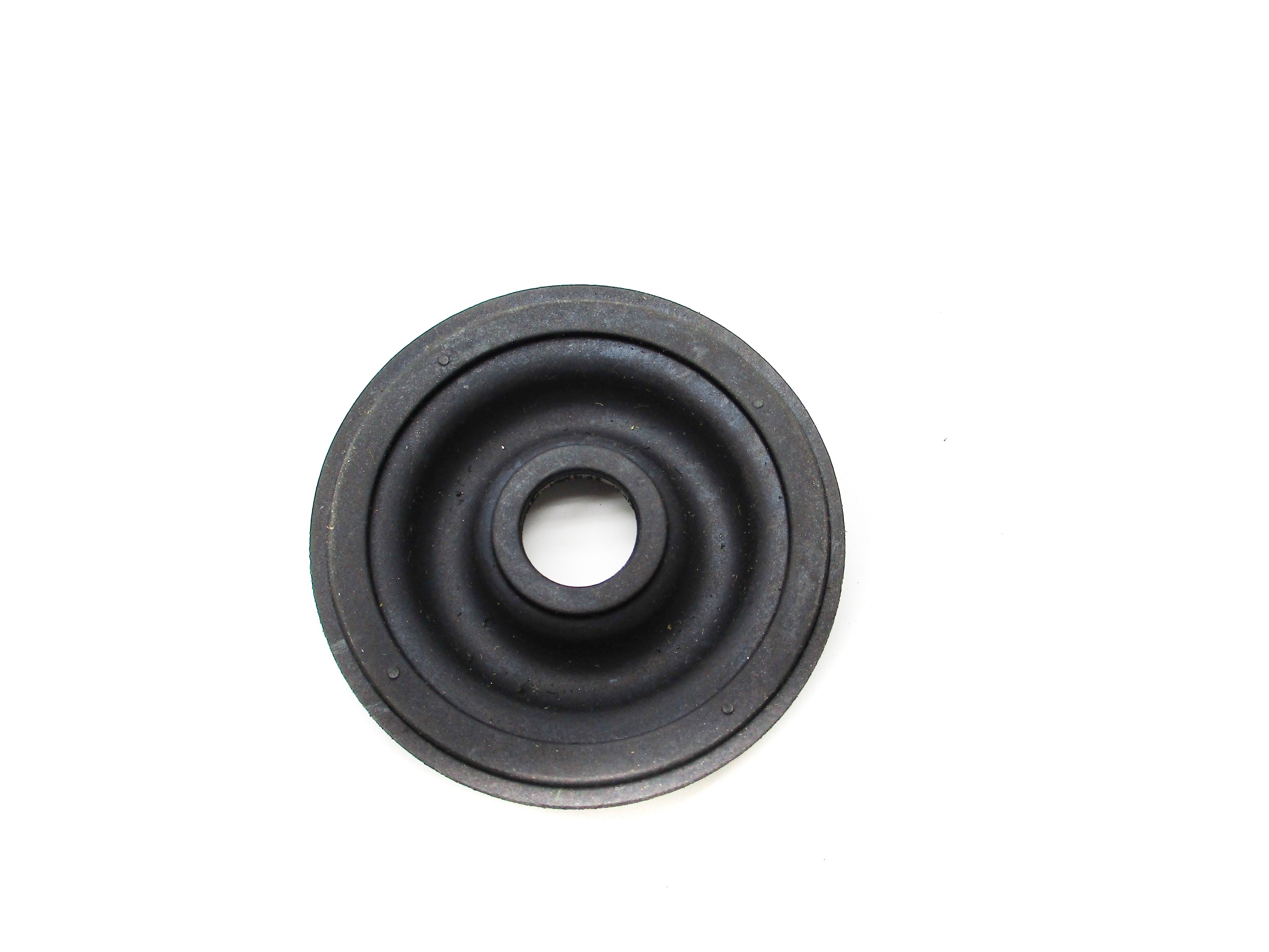 DIAPHRAGM 10950-1 NSNP