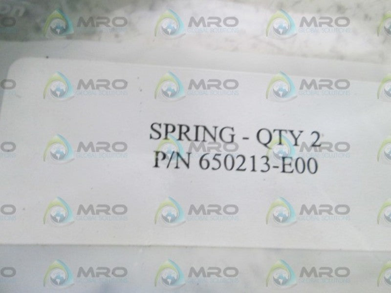 LOT OF 2 SPRING 650213-E00 NSNP IN BAG