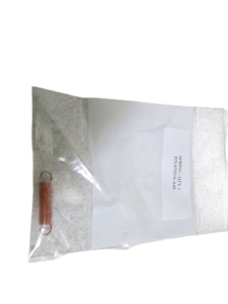 SPRING 650216-A40 NSNP IN BAG