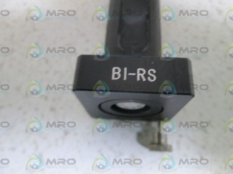 BI-RS  NSNP