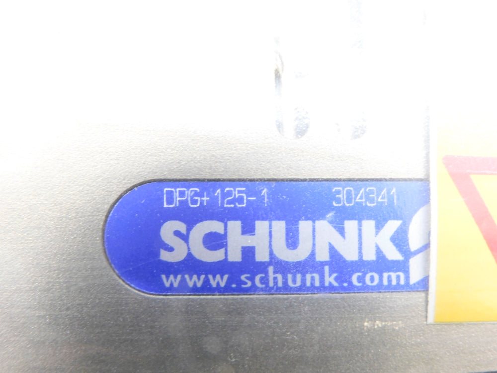 SCHUNK DPG+125-1 0304341 NSMP