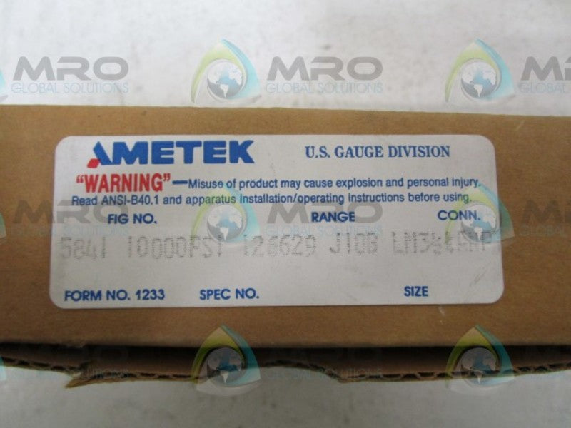 AMETEK 5841 GAUGE  NSMP