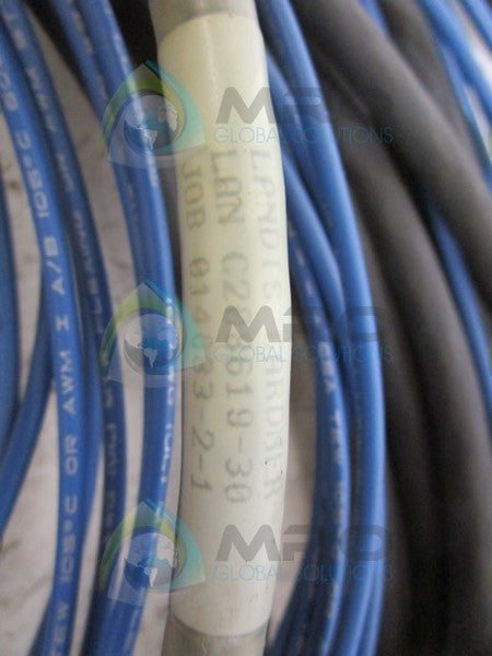 LANDIS GARDNER C208619-30 CABLE  UNMP