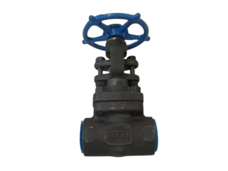 VELCAN W2074B-02TY MODEL A 1" GLOBE VALVE  NSNP